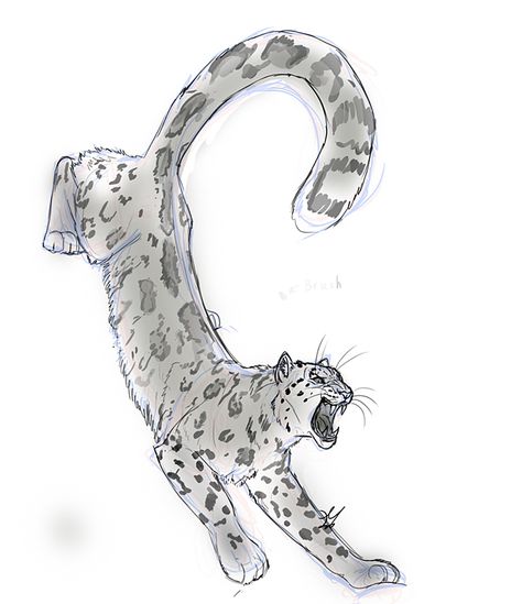 Amur Leopard Drawing, Snow Leopard Tattoo Design, Leopard Craft, Leopard Sketch, Snow Leopard Drawing, Snow Leopard Tattoo, Snow Leopard Art, Baby Snow Leopard, Leopard Drawing