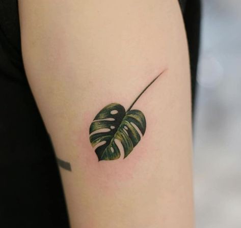 Monstera deliciosa leaf tattoo done by @tattooist_doy | www.otziapp.com Plant Back Tattoo, Monstera Deliciosa Tattoo, Monstera Tattoo Design, Monstera Tattoo, Hawaii Tattoos, Leaf Tattoo, Hawaiian Tattoo, Intricate Tattoo, Back Of Shoulder Tattoo