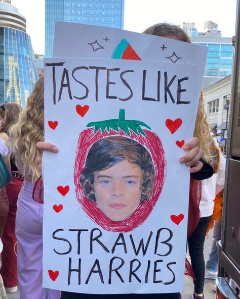 Concert Signs, Hslot Outfit Ideas, Love On Tour Outfits, Harry Styles Outfit, Harry Styles Poster, Divorced Parents, Fan Poster, Harry Styles Concert, Harry Styles Cute