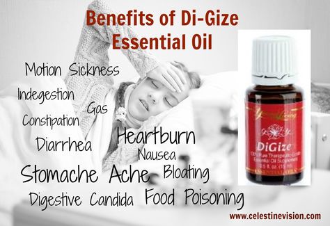 5 Benefits of DiGize Essential Oil – Celestine Vision Digize Essential Oil Young Living, Young Living Digize, Oil For Constipation, Digize Essential Oil, Essential Oils For Cough, Young Living Oils Recipes, Young Living Recipes, Young Living Essential Oils Recipes, Yl Oils