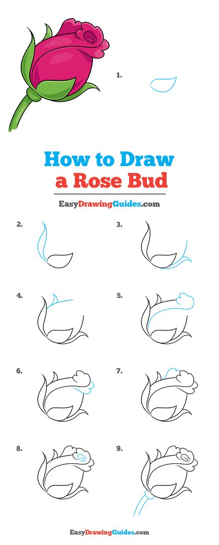 Rose Bud Drawing Lesson. Free Online Drawing Tutorial for Kids. Get the Free Printable Step by Step Drawing Instructions on https://easydrawingguides.com/how-to-draw-a-rose-bud/ . #RoseBud #LearnToDraw #ArtProject Beginner Drawing Ideas Step By Step Art Lessons, Rose Buds Drawing, Flower Bud Drawing, Easy Rose Drawing Simple, Rose Bud Drawing, How To Draw A Rose, Bud Drawing, Easy Rose Drawing, Rose Outline Drawing