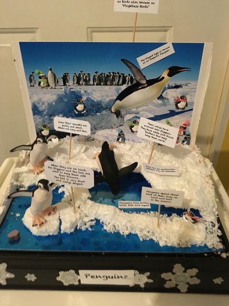 Penguin Habitat Shoebox Project, Penguin Diorama, Penguin Habitat Project, Antarctica Diorama, Penguin Diorama Habitats, Penguin Diarama For Kids, Ocean Diorama, Penguins Project, Arctic Penguins