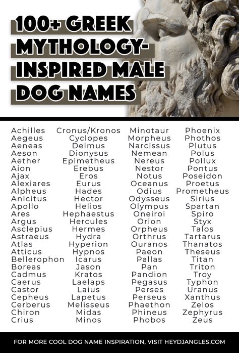 From Zeus to Titan, Apollo, Hades, Morpheus, Sirius and more, check out 100+ inspiring Greek god names, and Greek mythology-inspired names for male dogs right here! Male Gods Names, Names From Greek Mythology, God Names Ideas, Greek Gods Names And Meanings, Norse God Names, Greek Mythology Inspired Names, Male Greek Gods Names, Greek Gods Male, Male Mythology Names