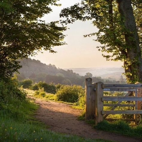 Dreams Cottages And Gardens | Facebook Cottage Beach House, Country Walk, Aesthetic Space, Dream Cottage, Countryside House, Dream Beach, English Countryside, Country Life, Driveway