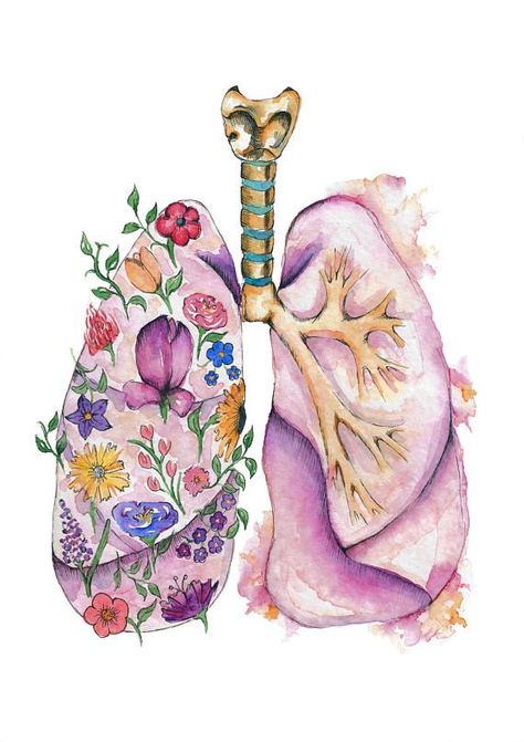 Flower Lungs, Lungs Art, Medical Drawings, Watercolour Flower, Biology Art, Human Anatomy Art, Medical Anatomy, Medical Art, Plant Drawing