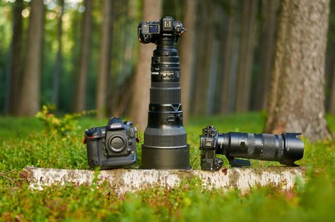 The Best Nikon Cameras for Wildlife Photography What is the best Nikon camera for photographing wildlife? Since “wildlife” encompasses so many things, from birds to lions and everything in between, it’s a hard question to answer. If you ask a random wildlife photographer which feature is most important to them, one might say autofocus while another might say lens selection or even... Wildlife Photography Camera, Camera For Photography, Best Camera For Photography, Nikon Cameras, Nikon D4, Nikon Lens, Best Cameras, Nikon D7200, Nature Background Images