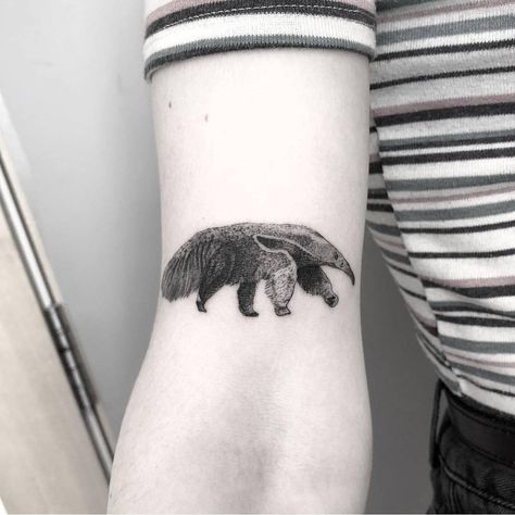 Anteater Tattoo, Giant Anteater, Bat Tattoo, February 9, Little Tattoos, Body Mods, Future Tattoos, Tattoos And Piercings, Paw Print Tattoo