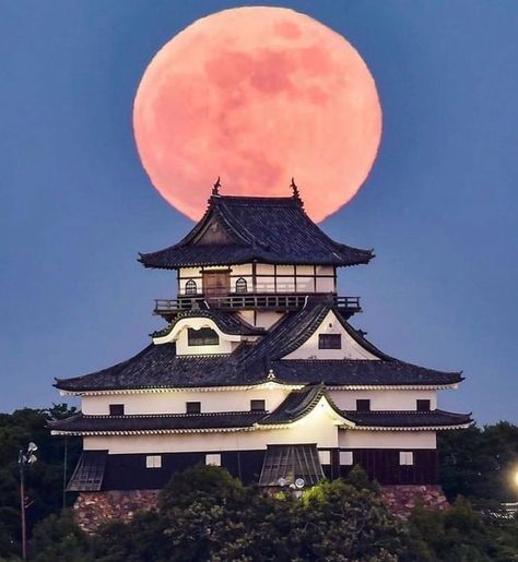 Ancient Japanese Architecture, Japanese Places, Japan View, Korean Series, Japanese Castle, Japan Architecture, Asian Architecture, Japan Photography, Japan Culture