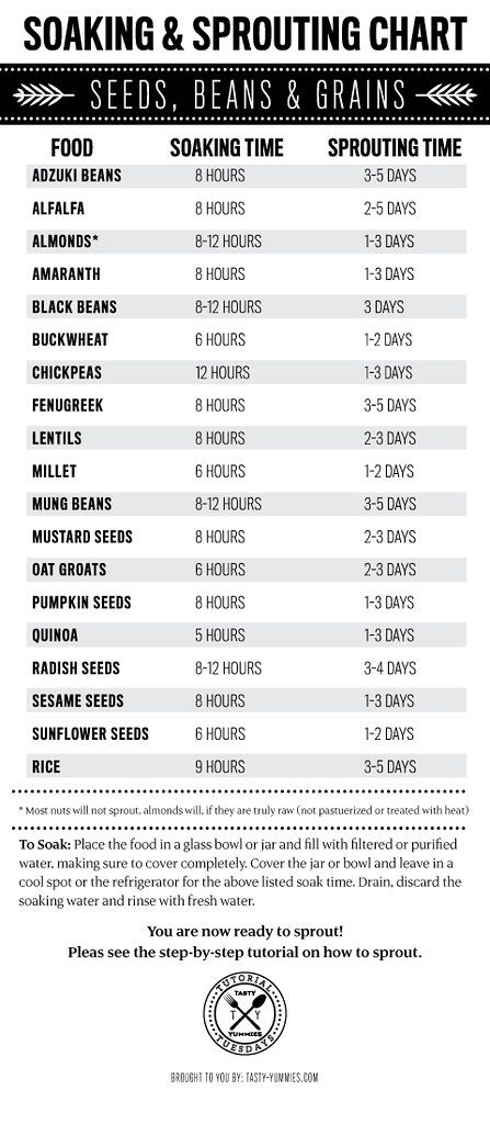 Soaking and Sprouting Chart: Seeds, Beans and Grains How To Sprout Chickpeas, How To Sprout Beans, Sprouting Beans, Bean Sprouts Growing, Sprouted Beans, Sprout Seeds, Growing Sprouts, Sprouted Grains, Micro Greens