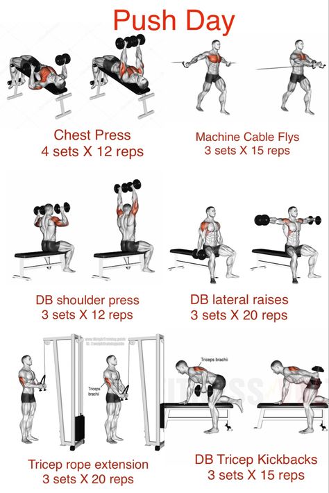 Push Pull Legs Workout, Push Day Workout, Arm Day Workout, Push Pull Workout, Pull Day Workout, Workout Gym Routine, Gym Workout Guide, Push Workout, Workout Program Gym