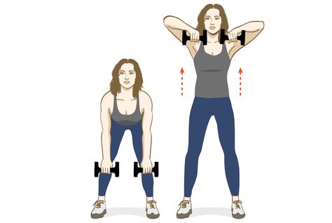 Eight moves to improve strength, endurance, and tone. Training Illustration, Weightlifting For Beginners, Dumbbell Exercises, Workout Moves, Senior Fitness, Dumbbell Workout, Fitness Trainer, Bodyweight Workout, Arm Workout