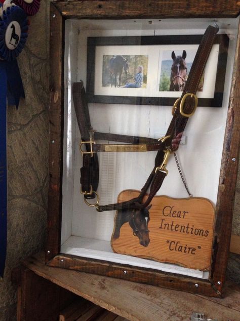 Shadow Box Horse Memorial, Horse Memorial Shadow Box Ideas, Horse Shadow Box Ideas, Horse Shadow Box, Horse Shadow, Horse Remembrance, Horse Hacks, Shadow Box Ideas, Horse Information