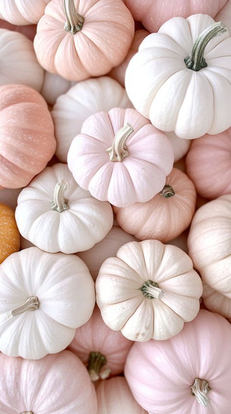 Pink Fall Pumpkin Wallpaper, White Pumpkin Wallpaper Iphone, October Phone Wallpaper Aesthetic, Glitter Fall Wallpaper, Iphone Screen Aesthetic Ideas, Aesthetic Wallpapers For Ipad Pro, Aesthetic Wallpaper Fall Iphone, Wedding Iphone Wallpaper, Light Autumn Aesthetic Wallpaper