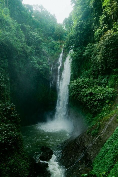 Photography Forest, Waterfall Pictures, Forest Waterfall, Waterfall Photography, Pretty Landscapes, Forest Nature, Forest Photography, Landscape Scenery, Soothing Sounds