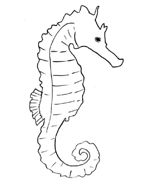 Seahorse Coloring Pages, Seahorse Drawing, Seahorse Tattoo, Sea Cake, Seahorse Art, Horse Coloring Pages, Marine Theme, Ship Tattoo, Horse Drawing