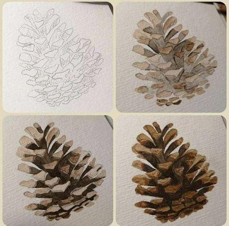 Pine Cone Watercolor Paintings, Watercolor Pinecones Tutorial, Pinecone Drawing, Pine Cone Watercolor, Watercolor Pinecone, Pinecone Painting, Pine Cone Drawing, Pine Cone Art, Learn Watercolor Painting