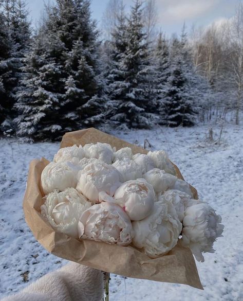 Winter Peonies, Ikea Inspired Bedroom, White Peonies Bouquet, Aesthetics Nature, A Profile Picture, Winter Arc, Snow Princess, December Wedding, Plant Aesthetic