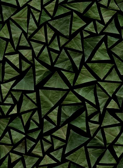 Triangle leaves Triangles In Nature, Triangle Aesthetic, Green Triangle, Textiles Techniques, Geometric Triangle, Triangle Pattern, Shape And Form, Fabric Texture, Green Aesthetic