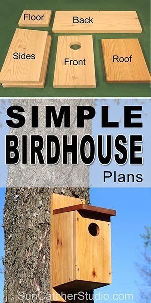 Simple Birdhouse, Build A Birdhouse, Birdhouse Plans, Bird House Plans Free, Bird Feeder Plans, Homemade Bird Houses, Bird Houses Ideas Diy, Bluebird House, Bird House Feeder