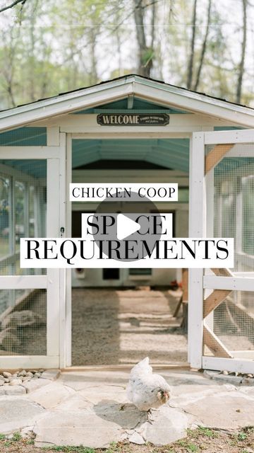 Alysha Whitfield | Bee Jeweled Coop on Instagram: "Navigating the space needs for backyard chickens, especially for those in suburbs or cities! 🏡🐓  My 4x8ft coop serves as a comfy home for my flock and houses up to 12 chickens (but could hold more!) It’s not just about square footage. Consider roosting space (10-12” per chicken) and nesting boxes (1 for every 3-4 chickens).  But here’s the thing: RUN SPACE is crucial and often overlooked. Cramped pre-made coops can lead to unhappy and unhealthy chickens.   Give your chickens at least 10 sq ft each in their run. Opt for a secure, covered run to keep them safe from predators and the elements.   Ensuring these minimum space requirement is key to happy chickens (and neighbors)! 🌿🏠  #chickencoop #diychickencoop #chickenkeeping #newchickenow Chickens In The City Backyards, Chicken Coop On Side Of House, Epic Chicken Coop, Space Saving Chicken Coop, Small Chicken Coop With Run, Hidden Chicken Coop, Moving Chicken Coop, City Chicken Coop, Inside Chicken Coop Designs