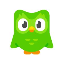 Duolingo Costume, Cursed Duolingo, Duolingo Owl, Spanish Or Vanish, Bird Outline, Owl Mask, Owl Plush, Learn Photo Editing, Bullet Journal School