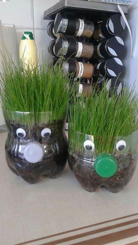 Herb Garden Gift, Mini Herb Garden, Funny Vine, Diy Spring Crafts, Spring Crafts For Kids, Plastic Bottle Crafts, Leg Pain, Crafts For Kids To Make, Mors Dag