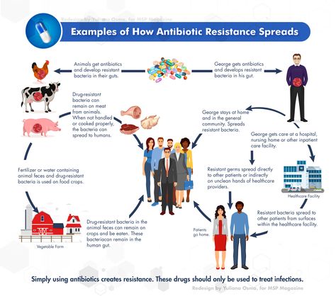 Infographic - How antibiotic resistance can spread. Antibiotics Resistance, Infection Control Nursing, Antibiotic Resistance, Antimicrobial Resistance, Infection Control, Care Facility, Classy Photography, Nclex, The Environment