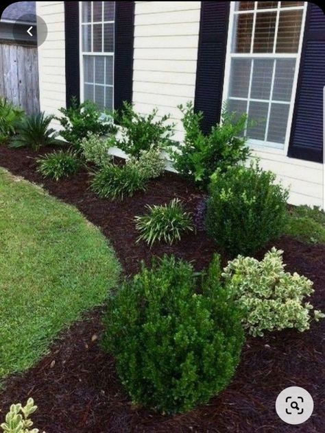 Landscaping Ideas For Front Of House Under Window, Landscape Ideas Long Front Porch, All Green Landscaping, Pretty Front Landscaping, Simple Green Landscape Front Yards, Shrub Ideas For Front Of House, Small Front Step Decorating Ideas, Landscape Ideas With Boxwoods, Sedum In Landscaping