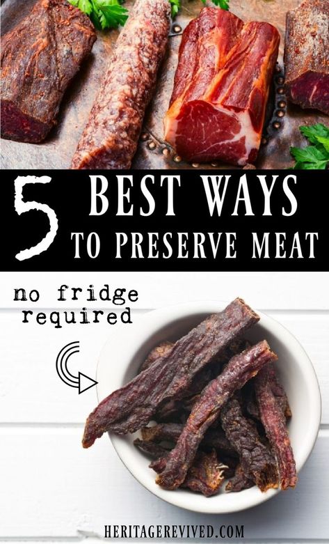 Dried Meat Recipe, Meat Preservation, Preserve Meat, Preserving Meat, Astronaut Food, Cured Meat Recipes, Food Dehydration, Canned Meats, Canning Food Preservation