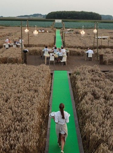 Pop Up Dinner, Deco Champetre, Corn Field, Pop Up Restaurant, Farm Stay, Fast Forward, Restaurant Interior, Land Art, Cafe Restaurant