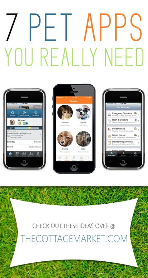 7 Pet Apps you really need - The Cottage Market Dog Apps, Pet Care Printables, Pet Health Record, Cottage Market, Dog Info, Finger Tips, Health App, Pet Sitting, Pet Hacks