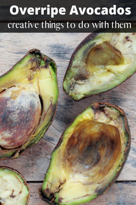 Have Overripe Avocados_ Creative things to do with them Ripe Avocado Recipes, Overripe Avocado, Avocado Ideas, Shrimp Avocado Salad Recipe, Avocado Uses, Clean Smoothies, Roasted Corn Salad, How To Ripen Avocados, Avocado Recipes Healthy