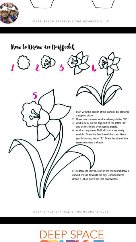 Dafadills Flowers Drawing, How To Paint A Daffodil, How To Draw Spring Flowers Step By Step, How To Draw A Daffodil Step By Step, How To Draw A Flower Garden, How To Paint Daffodils, How To Draw Daffodils, How To Draw Spring Flowers, Easter Flowers Drawing