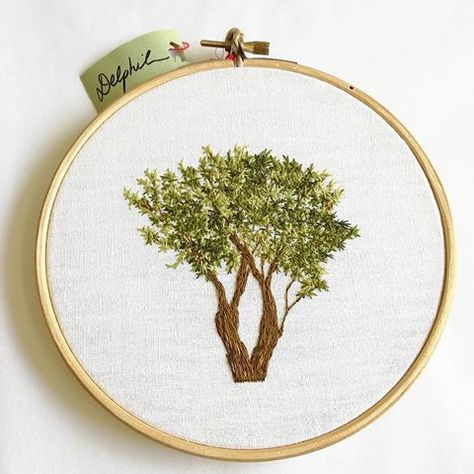 🌳 Olivier 🌳 . . . . . . . . . #olivier #olives #tree #nature #tree #trees #arbres #arbre #draw #dessin #handembroidery #embroidery #embroideryart #broderie #broderiemain #handmade #faitmain #brodeuse #stitching #embroidered #madeinfrance #delphil #tatoueusedetissu #modernembroidery #contemporaryembroidery #embroideryinstaguild #embroiderylove #creuse #limousin #campagne Baby Branding, Bullion Embroidery, Sewing Cross Stitch, Gold Work Embroidery, Fiber Crafts, Contemporary Embroidery, Diy Embroidery Patterns, Thread & Yarn, Nature Tree