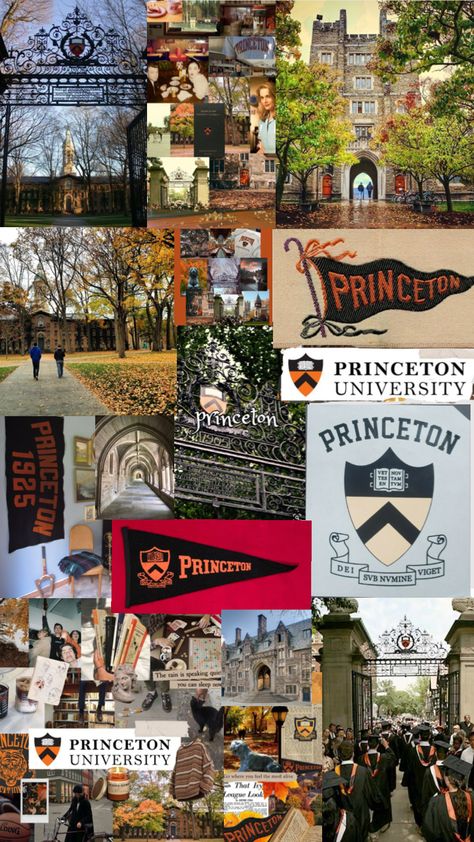 Prinston University Aesthetic, Mit Acceptance Letter, Princeton University Wallpaper, Colleges To Apply To, Ivy League Aesthetic Wallpaper, Princeton Wallpaper, Prinston University, Harvard Wallpaper, Princeton Aesthetic