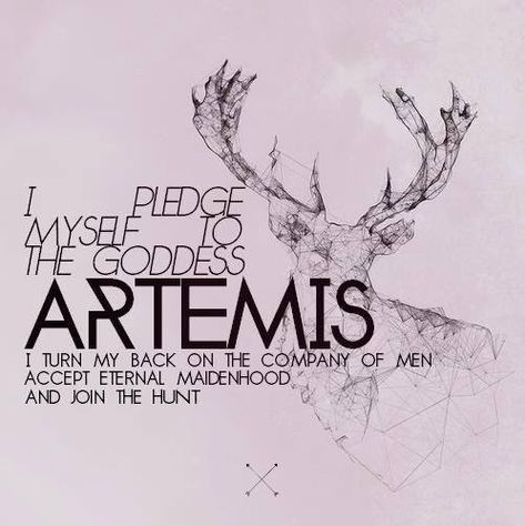 Hunters of Artemis Artemis Core, Artemis Cabin, Hunters Of Artemis, Chb Cabins, Artemis Aesthetic, Hunter Of Artemis, Artemis Goddess, Apollo And Artemis, Artemisia Gentileschi