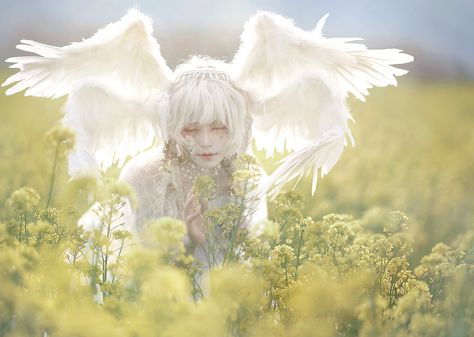 Angel Aesthetic, 다크 판타지, Fantasy Photography, Aesthetic People, Poses References, Pose Reference Photo, Photo Reference, An Angel, Art Reference Photos