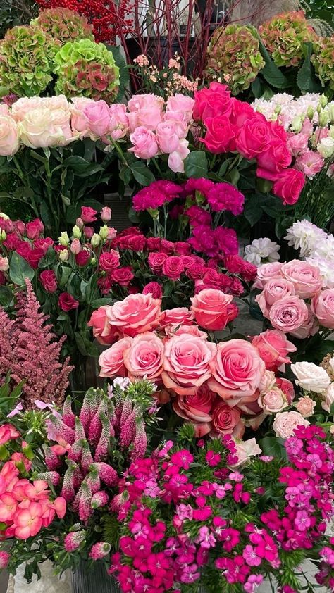 Nature Aesthetic Pictures, Boquette Flowers, Roses Pink, Nothing But Flowers, Flower Therapy, Beautiful Bouquet Of Flowers, Luxury Flowers, Beautiful Flowers Pictures, Breath Of Fresh Air