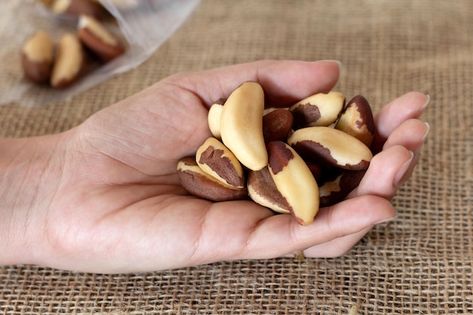 Photo hand with brazil nuts brazilian ch... | Premium Photo #Freepik #photo #natural-food #healthy-snacks #fresh-food #organic-food Brazil Nuts, Organic Food, Food Healthy, Natural Food, Premium Photo, Fresh Food, Chestnut, Nuts, Healthy Snacks