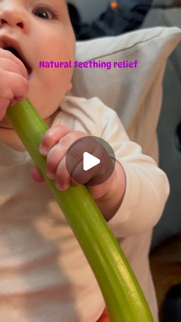 Dr. Karissa Maggio on Instagram: "When used safely celery can add in teething relief. Especially if cold from the fridge or freezer and properly cleaned. #teethingbaby #longislandchiropractor #baby #babydoc" Infant Teething Relief, Celery For Teething, Teething Relief For Babies, Teething Baby Remedies, Teething Hacks, Pregnancy Preparation, Baby Remedies, Toddler Milestones, Teething Remedies