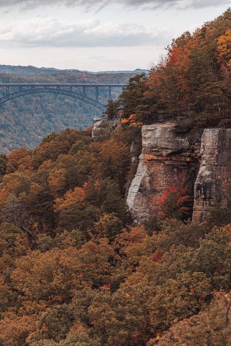 new river gorge national park New River Gorge National Park, Virginia Fall, New River Gorge, Fall Break, New River, Take A Hike, Great Smoky Mountains, Road Trip Usa, National Monuments