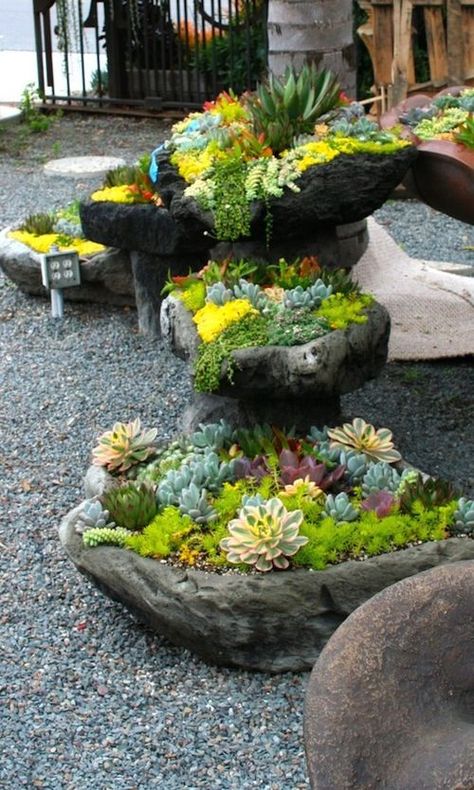 Rock Planters, Rock Landscaping, Stone Planters, Front Landscaping, Rock Garden Landscaping, Succulent Gardening, Desert Garden, Landscape Designs, Have Inspiration