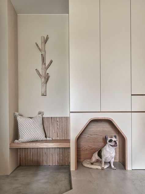 Love. Comfort. Luxury. Barkitecture. These are the pet room ideas for dogs that deserve nothing less than the best. Pet Room Decor, Pet Room, Cat Patio, Cat Hotel, Dog Washing Station, Dog Spaces, Pet Area, Pet Spaces, Pet Hotel