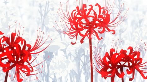 Red Spider Lily || Tokyo Ghoul Tokyo Ghoul, Red Flowers, Tokyo, Flowers, Red, Anime, White