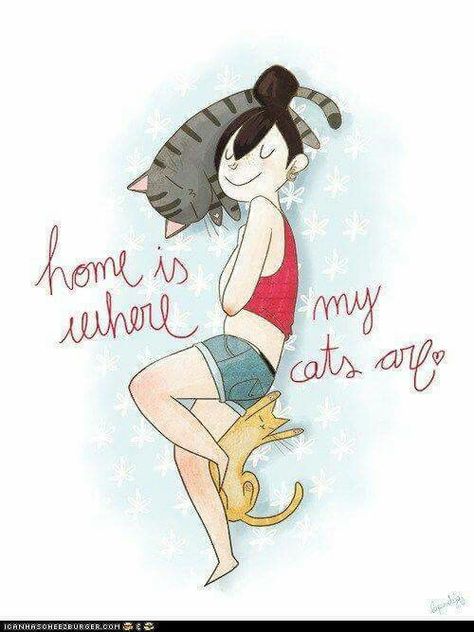 Cat People, Cat Quotes, Arte Animal, Home Is Where, Cats Meow, All About Cats, Crazy Cat Lady, Cat Life, Cat Mom