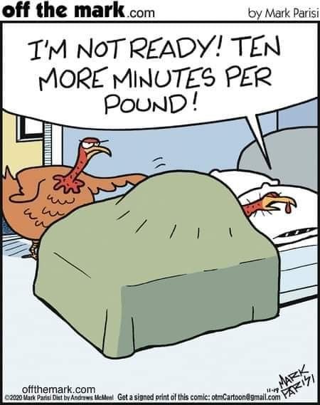 Funny Turkey Pictures, Funny Thanksgiving Pictures, Turkey Jokes, Sleep Cartoon, Mark Parisi, Thanksgiving Jokes, Thanksgiving Cartoon, Off The Mark, Thanksgiving Pictures