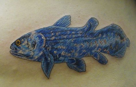 Coelacanth Coelacanth Tattoo, Biology Tattoos, Biology Tattoo, Science Tattoo, Living Fossil, Future Tattoo Ideas, Getting A Tattoo, Science News, Flat Roof