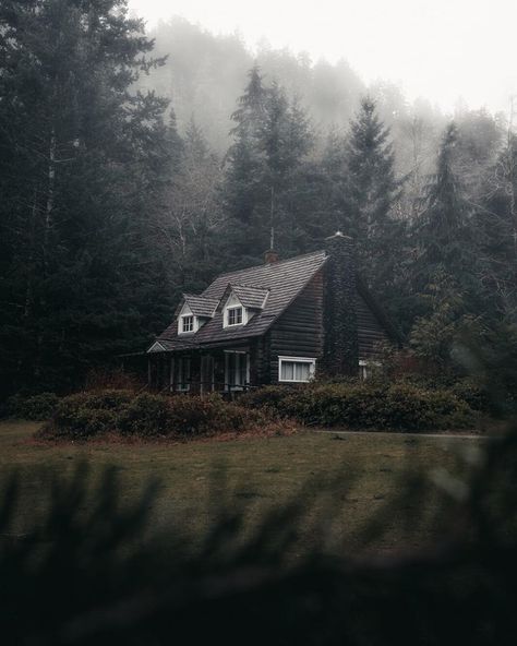 The House In The Pines, House In The Middle Of The Forest, House In Woods, Dark Naturalism, Forest Dark, Forest Cabin, 광고 디자인, Foggy Forest, Character Profile