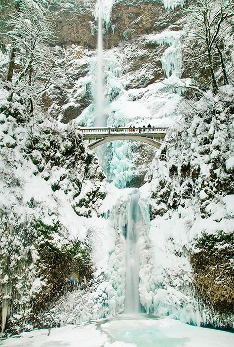 Winter, Multnomah Falls, Columbia River Gorge National Scenic Area, Oregon // #wanderlust Multnomah Falls, Columbia River Gorge, Columbia River, A Bridge, Alam Yang Indah, On The Ground, Pretty Places, Winter Scenes, Places Around The World