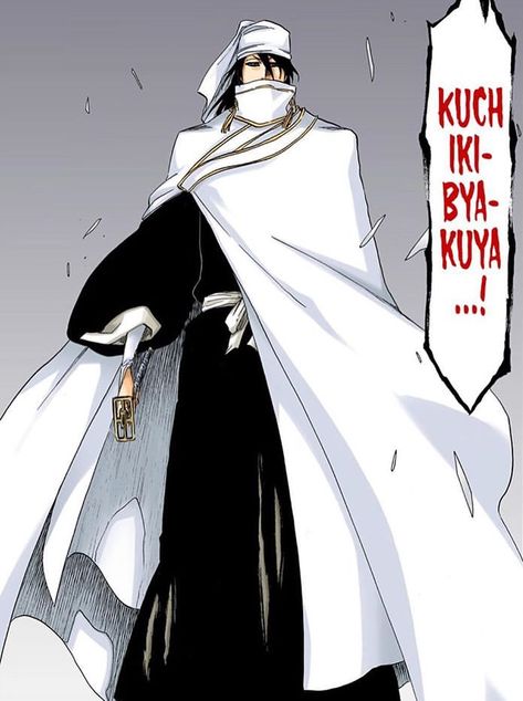 Byakuya Bleach, Bleach Pictures, Kuchiki Byakuya, Urahara Kisuke, Bleach Funny, Ulquiorra Cifer, Artist Cartoon, Byakuya Kuchiki, Arte Ninja